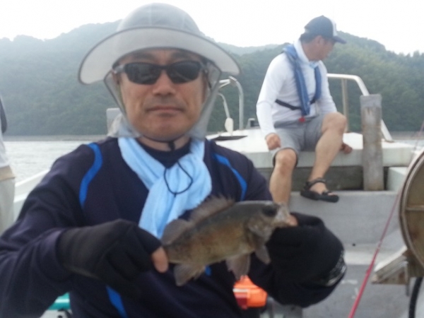 ライトタックルＧ♯は繊細な釣りに最高！　愛媛県