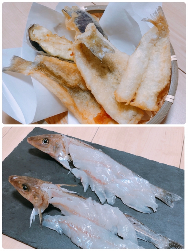 キスの天ぷらが食べたくなりDONPEPE８ACSでキス釣り（福井県）