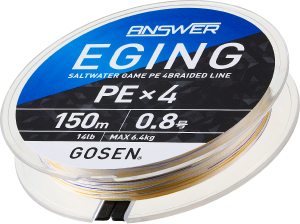 ANSWER EGING PE×4