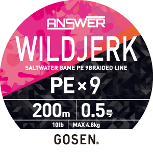 󥵡 磻ɥ㡼 PE9 200m