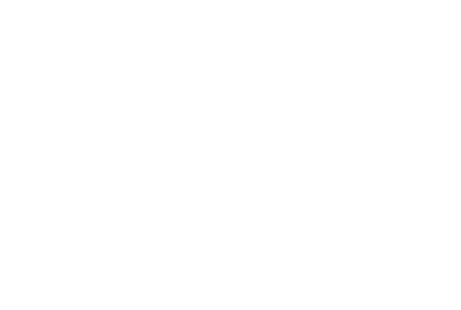 GUIDUS ��������