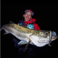 �����۱�