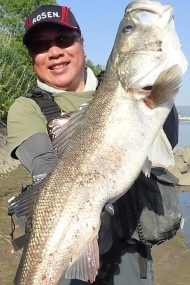 �Ų졡����