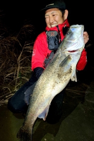 ���ܡ�����